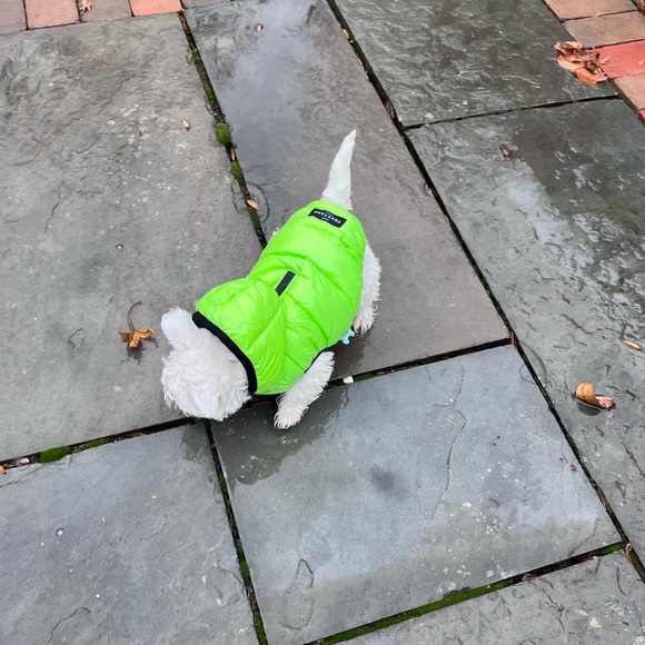 Fuzzyard size 1 dog puffy coat - Picture 2 of 5